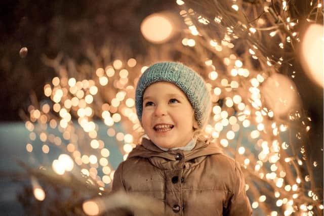 Christmas lights stock image (generic image: Adobe Stock/rimmdream)