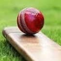 Cricket stock picture